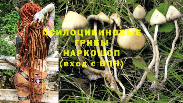 гашишное масло Инта