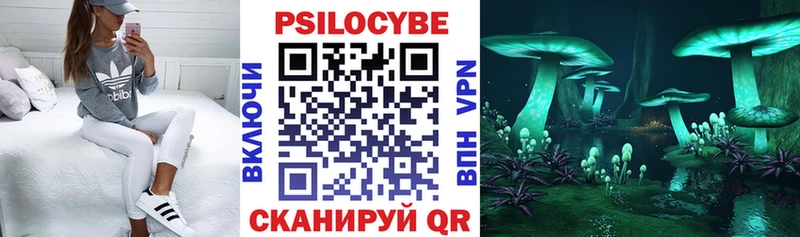 Купить закладки  Сосногорск  Псилоцибиновые грибы Cubensis 